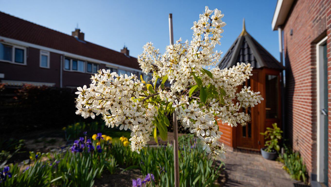 [paste advice page name here]